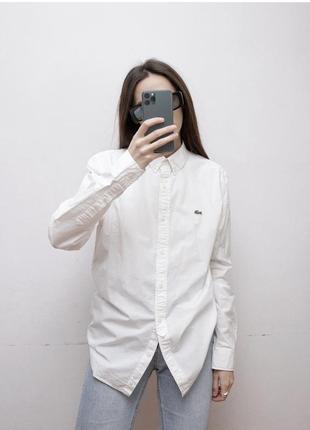 Бавовняна сорочка lacoste (s-m)