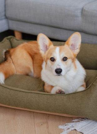 Лежак для собак та котів sweet dreams olive рогожка xl - 100х70х28см