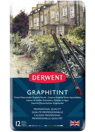 Набір акварельних графітних олівців graphitint 12 шт derwent