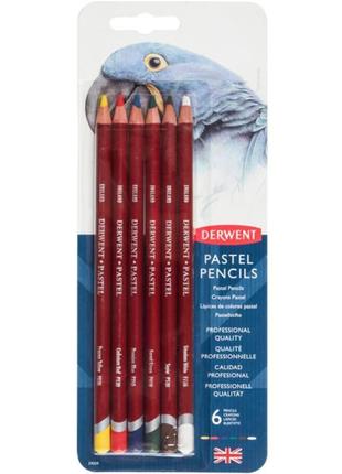 Пастельные карандаши pastel pencils 6цв derwent