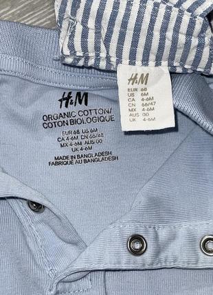 Комплект одежды h&m, 4-6мес5 фото