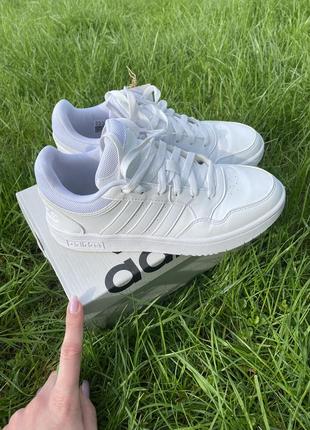 Кеды (снекерcы) adidas hoops 3.0. белый3 фото