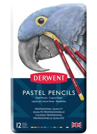 Пастельні олівці pastel 12цв derwent