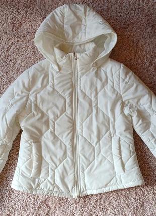 Курточка демосизонная р.l