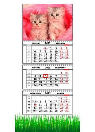 Календар квартальний на 2025 рік на 3 пружини apriori  коти