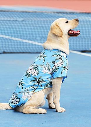 Рубашка-гавайка для котов и средних собак размер 2xl голубой ананас