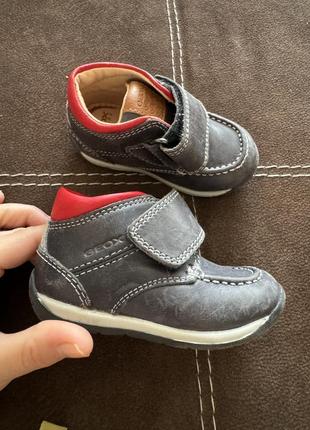 Ботинки полуботинки 18 кожа geox