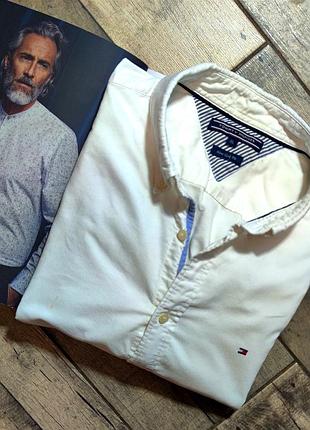 Мужская элегантная плотная хлопковая рубашка tommy hilfiger в белом цвете размер xl