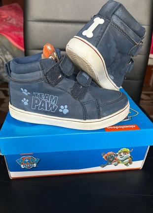 Кросівки (хайтопи)