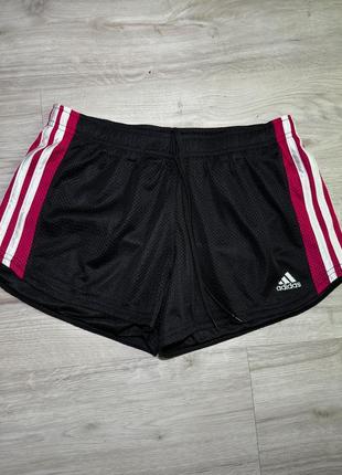 Спортивні шорти adidas сітка