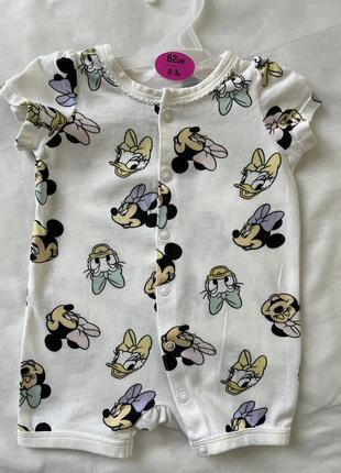 Пісочник, 56-62