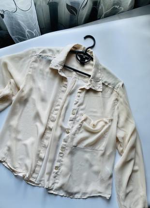 Блузка h&m 36 38 40 s m l беж футболка кофта сорочка рубашка