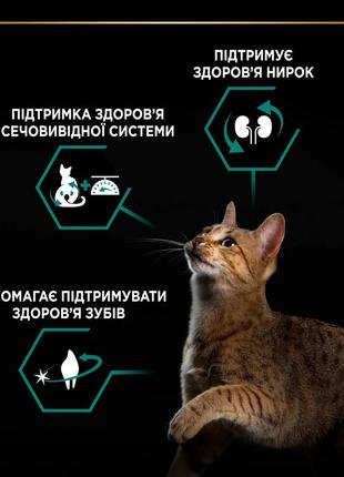 Сухой корм для кошек purina pro plan sterilised4 фото