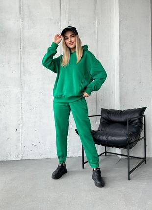 Костюм спортивный 3-нитка худи + джоггеры freedom р.40-58 tevi зелёный
