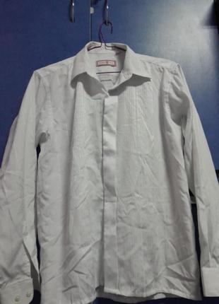 Рубашка, винтаж,с узором спереди и в полоску сзади, ricardo ricco1 фото