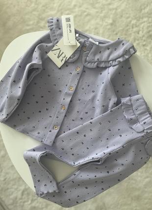 Костюм в рубчик блуза з коміром лосіни4 фото