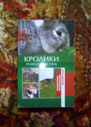 Кролики розведення та догляд