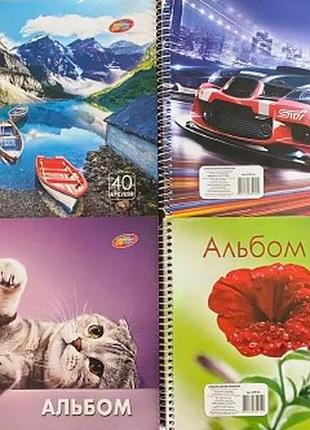 Альбом на спирали "колорит-тон" 40 листов/100 гр апр-40 knz