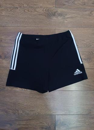 Шорты adidas / шорты адидас