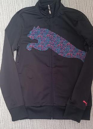 Мастерка puma