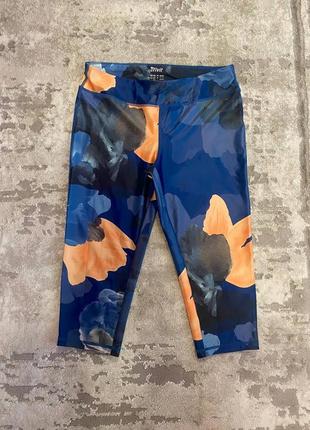 Нові легенси тайси