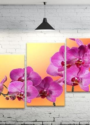 Модульная картина на холсте profart sm3-t23 100 х 53 см орхидея (hub_ymvz60927)