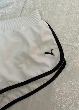 Шорти puma