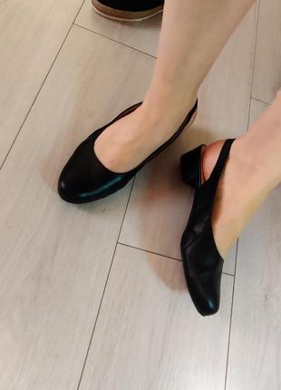 Слингбеки, туфли с открытой пяткой, босоножки с закрытым носом