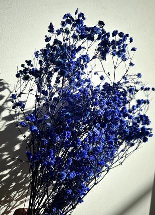 Гипсофила синия стабилизированная 1 веточка для создания букетов, декора помещений или...