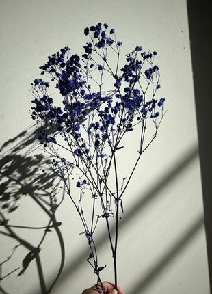 Гипсофила синия стабилизированная 1 веточка для создания букетов, декора помещений или...
