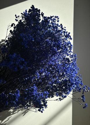 Гипсофила синия стабилизированная 1 веточка для создания букетов, декора помещений или...