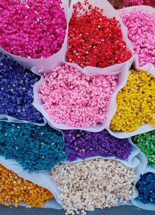 Гипсофила синия стабилизированная 1 веточка для создания букетов, декора помещений или...