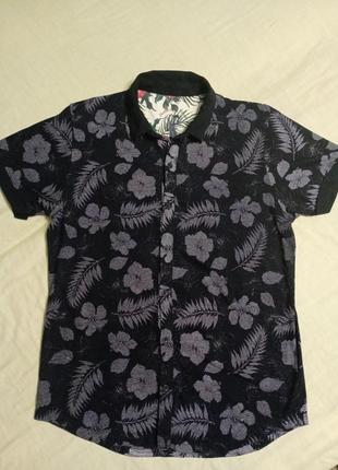 Крута сорочка від ringspun