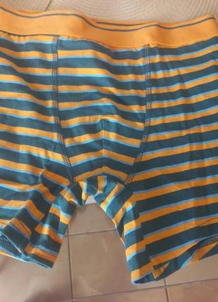 Боксери нові