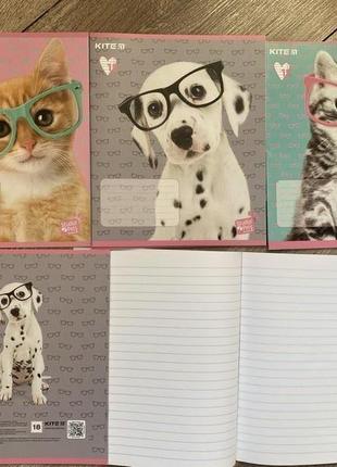 Зошити, нові, шкільни зошити