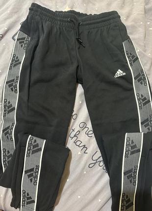 Спортивні штани adidas