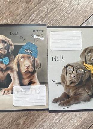 Зошити, нові, шкільни зошити