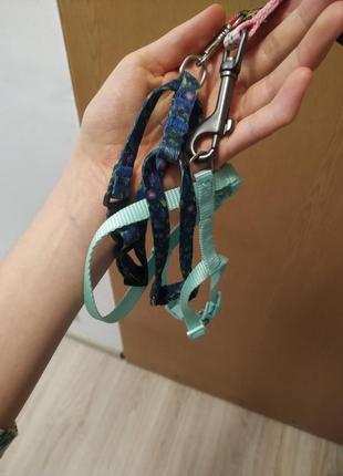 Поводок