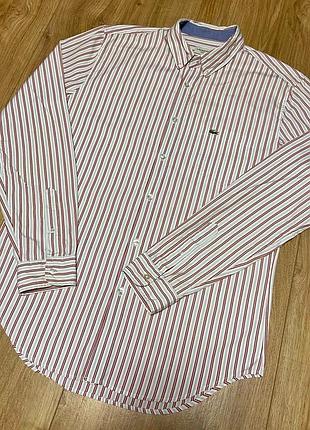 Сорочка/рубашка lacoste розмір l.