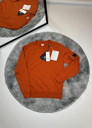 Свитшот s.p company &amp; stone island