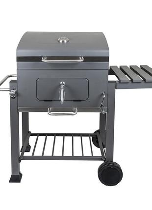 Великий вугільний гриль-барбекю (lv20021708s)