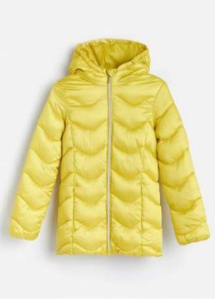 Осенняя деми куртка цвета лайм матча