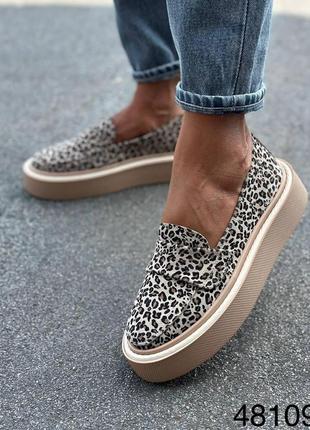 Женские лео туфли лоферы нат.  замша