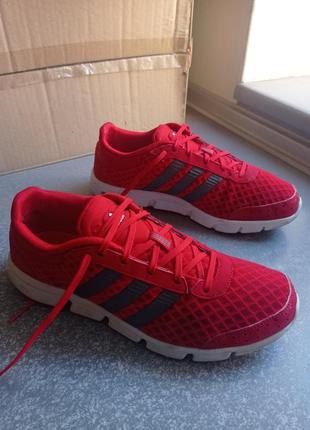 Кросівки кеди adidas run cool