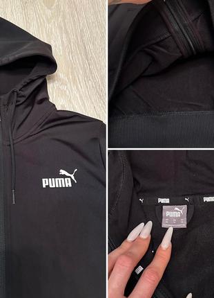 ‼️ спортивний костюм puma 1646 фото