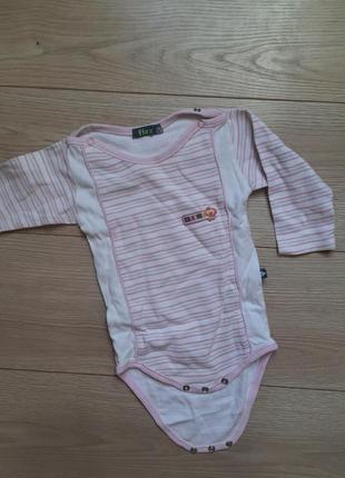 Боди, бодик