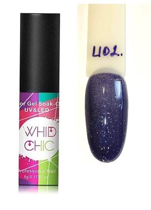 Гель-лак котяче око