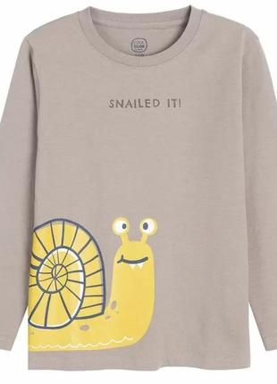 Реглан для мальчиков бренд cool club