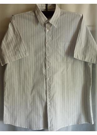 Распродажа белая мужская рубашка в полоску с коротким рукавом. 
цвет белый. 
склад 100%бавовна. 
состояние очень хорошее, без дефектов.