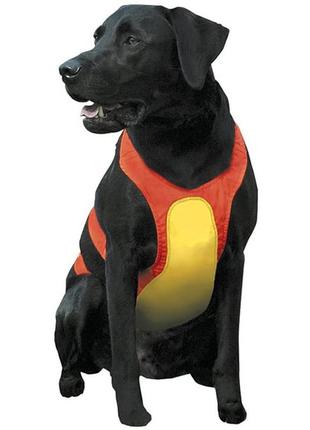 Coastal for hunting dogs костал нагрудний захист для мисливських собак